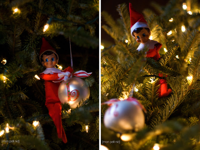 Elf Christmas Photo Album